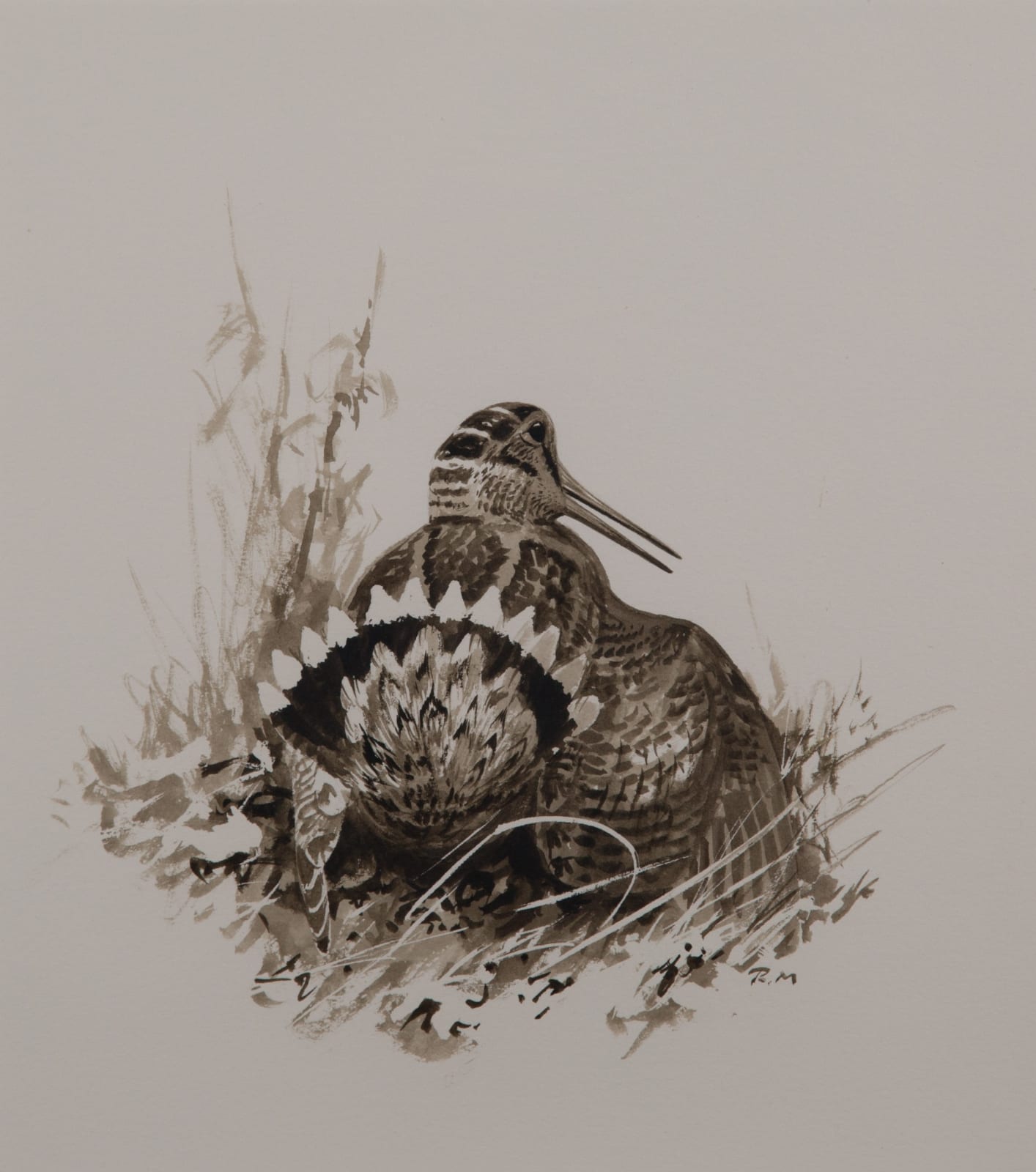 Rodger McPhail, Woodcock Display