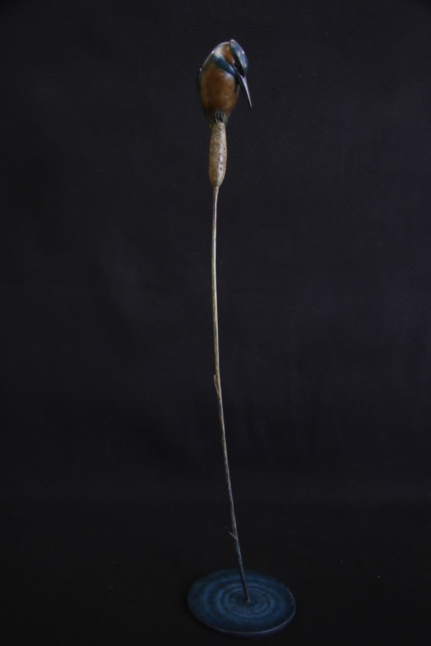 Adam Binder, Kingfisher , 2022