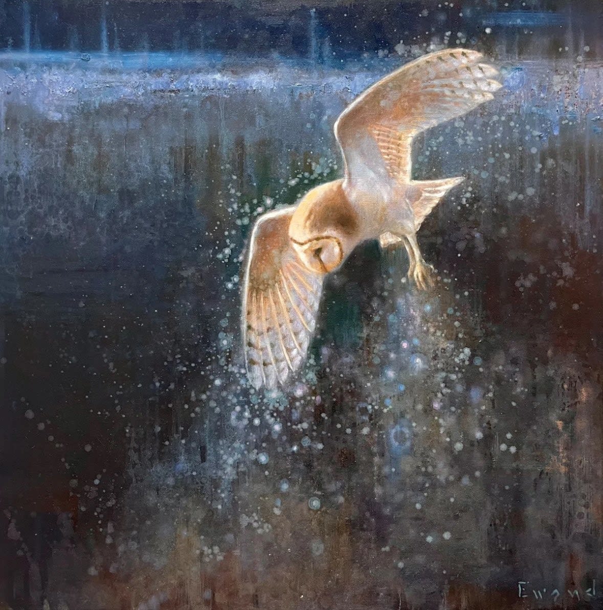 Ewoud de Groot, Twilight Barn Owl