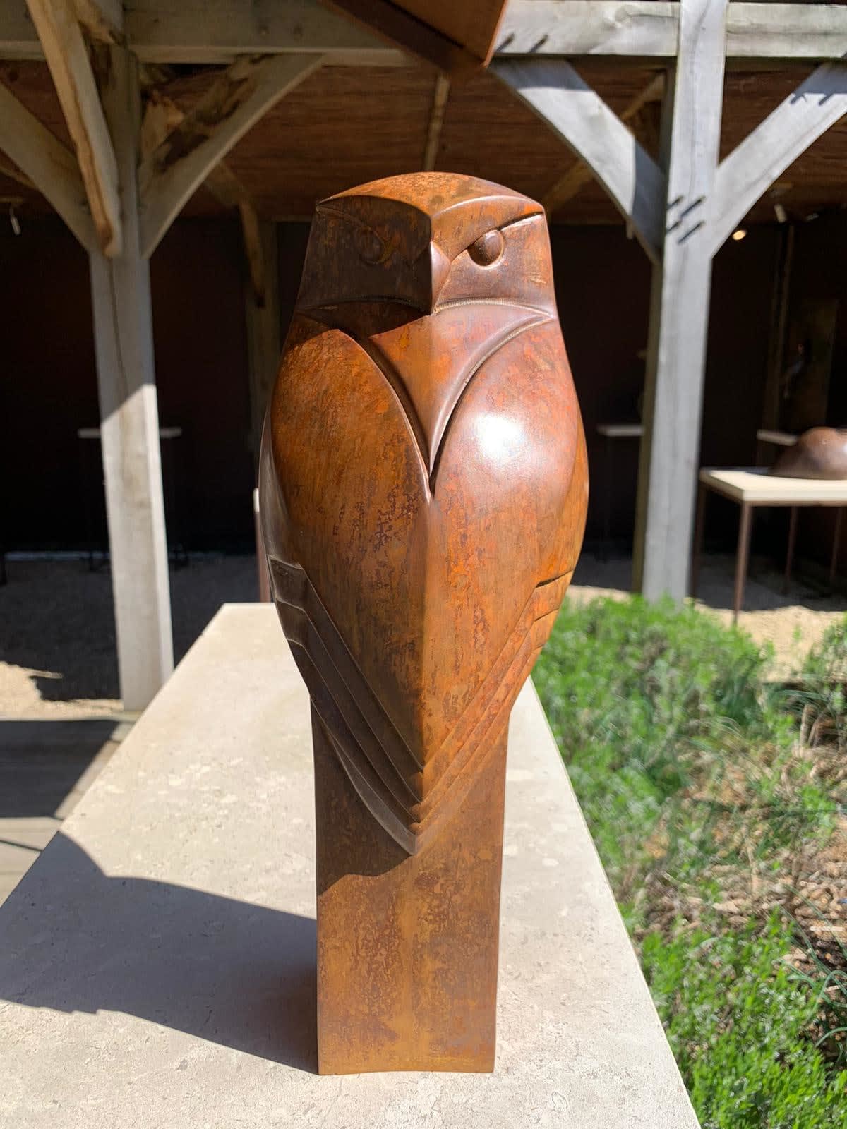 Paul Harvey, Little Owl, 2025