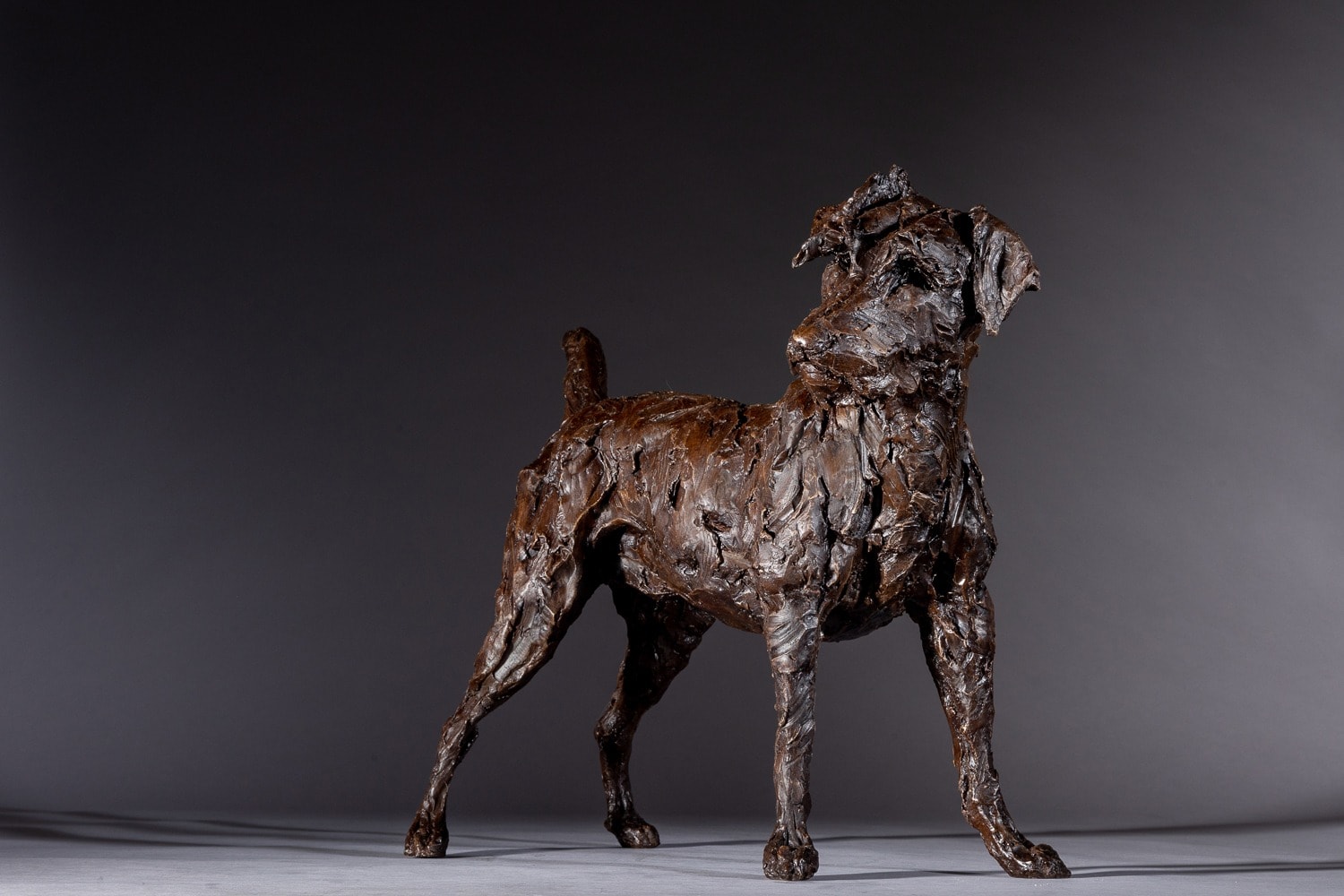 Jane Shaw, King of the Castle, Life-size Parsons