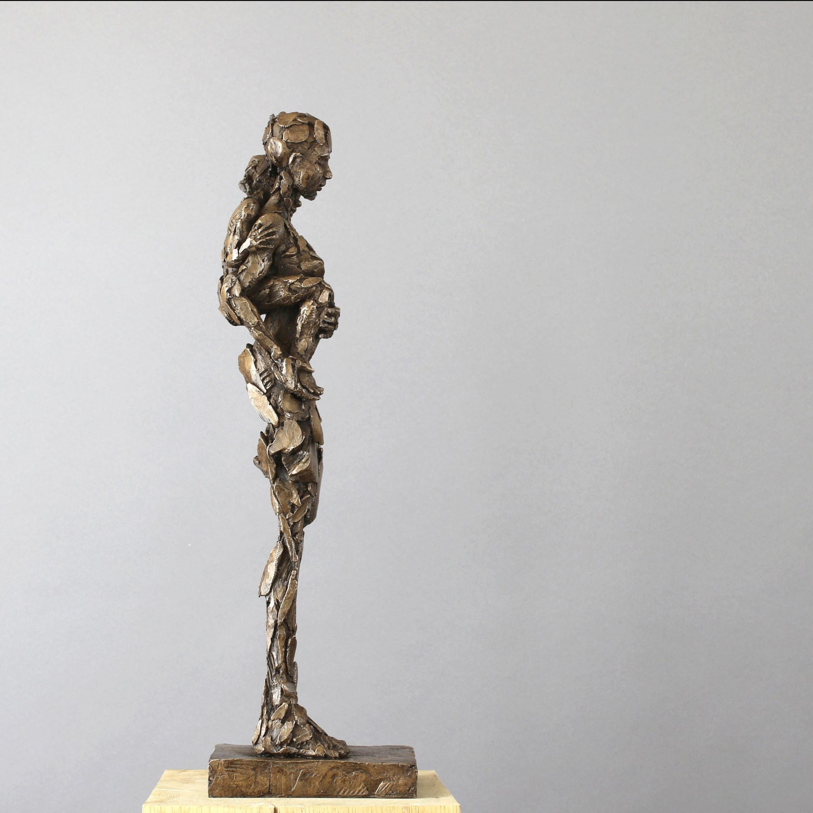 Carol Peace, Reflected