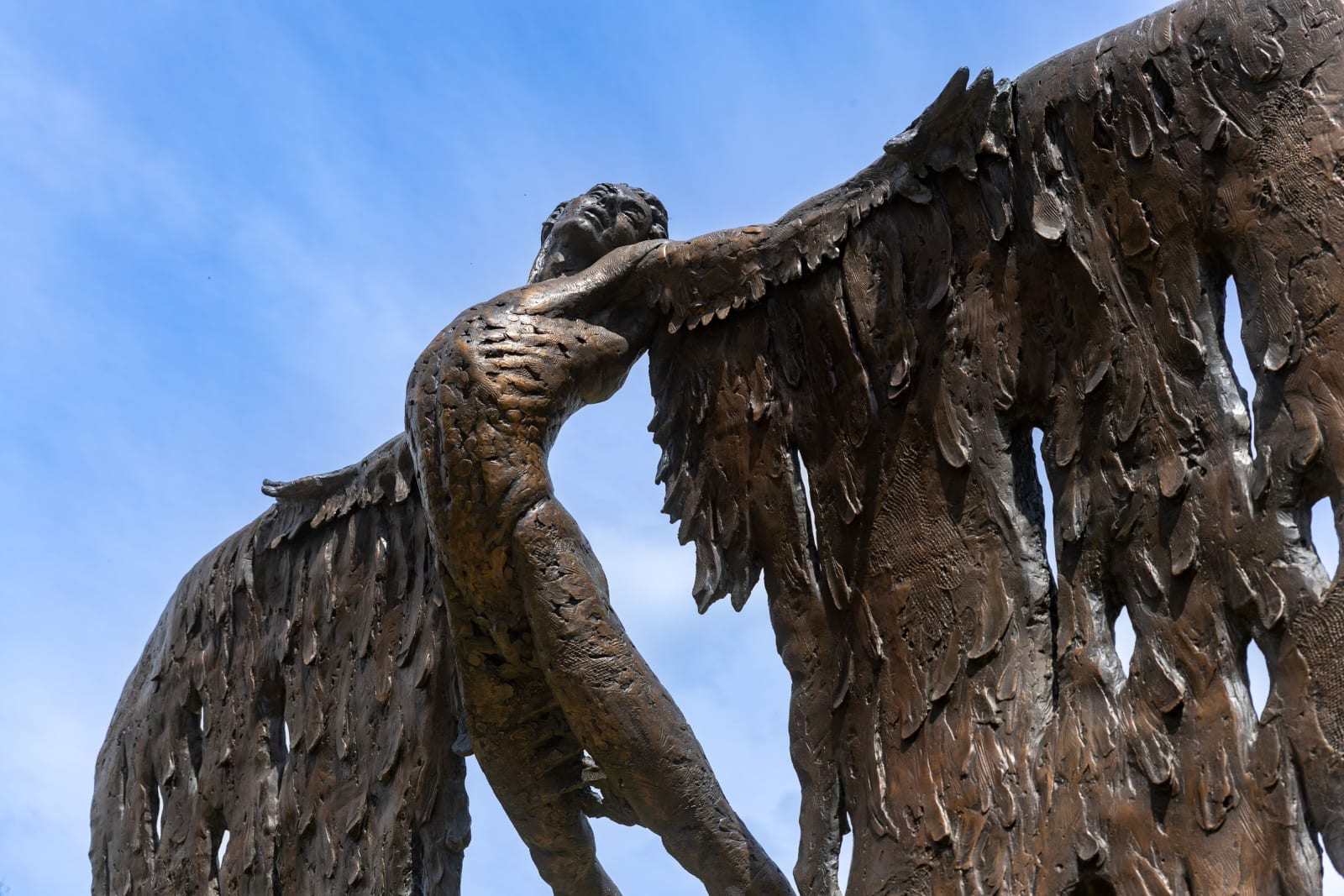 Nicola Godden, Icarus Rising , 2024