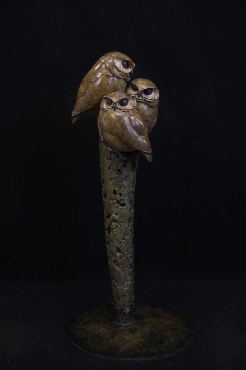Adam Binder, Little Owls, 2022