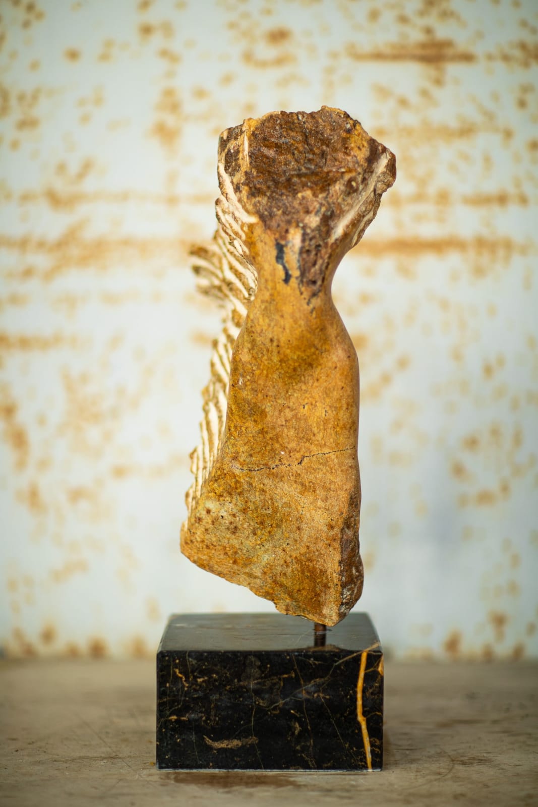 Jonathan Loxley, Vodou, 2025