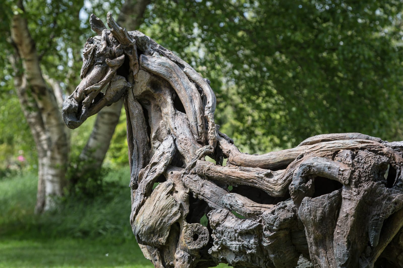 Heather Jansch, Sugar Plum