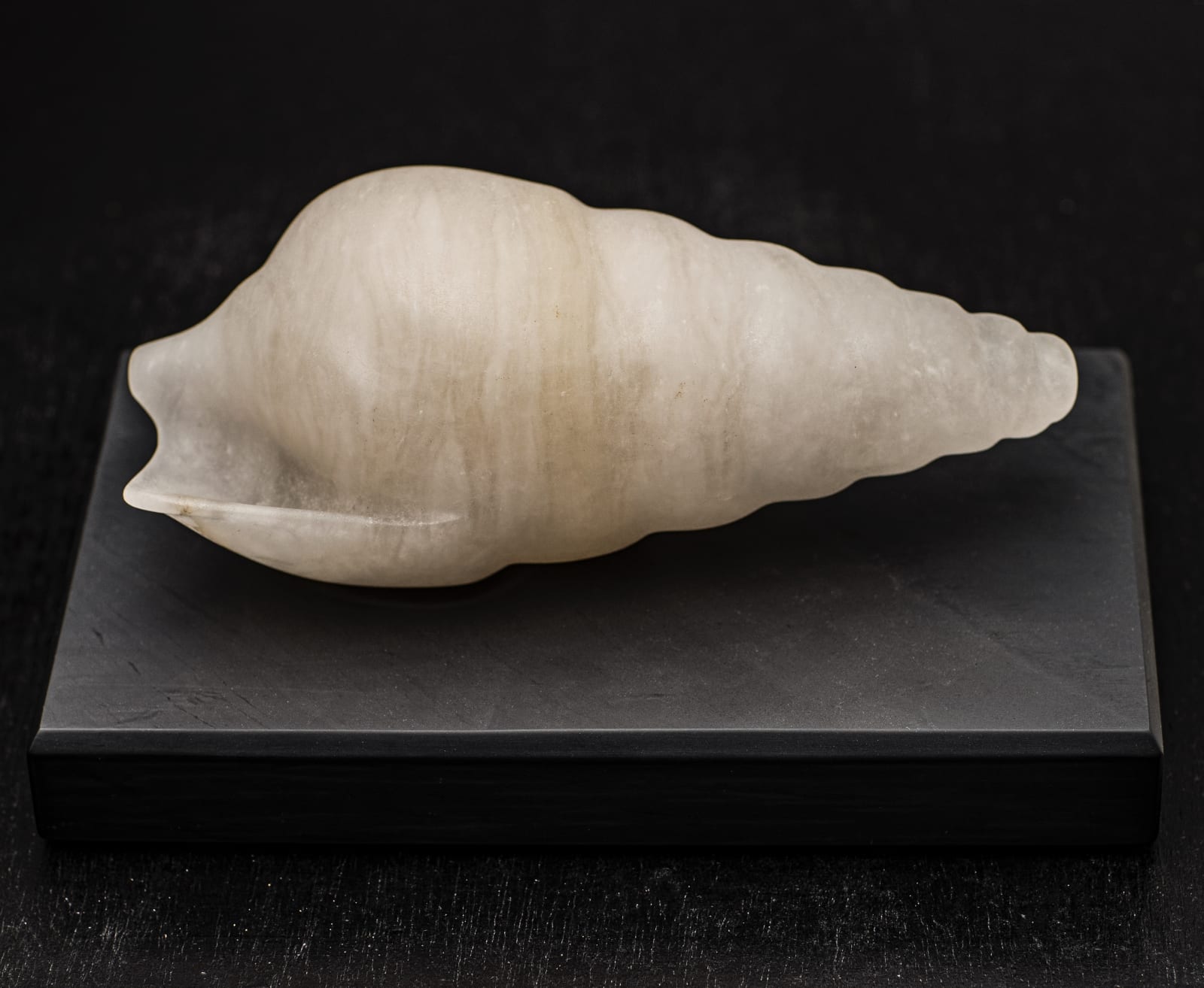Ray Moseley, Shell , 2021