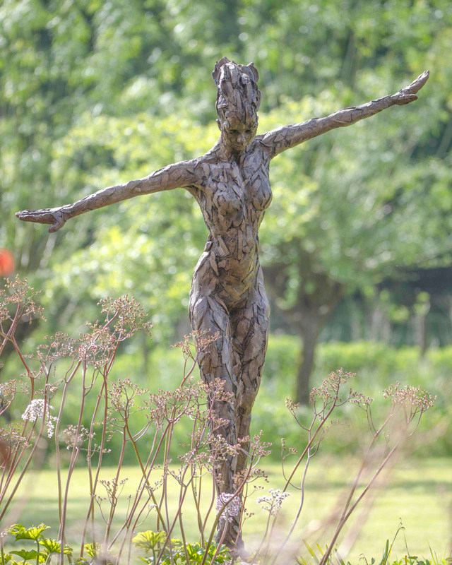 Carol Peace, Tightrope