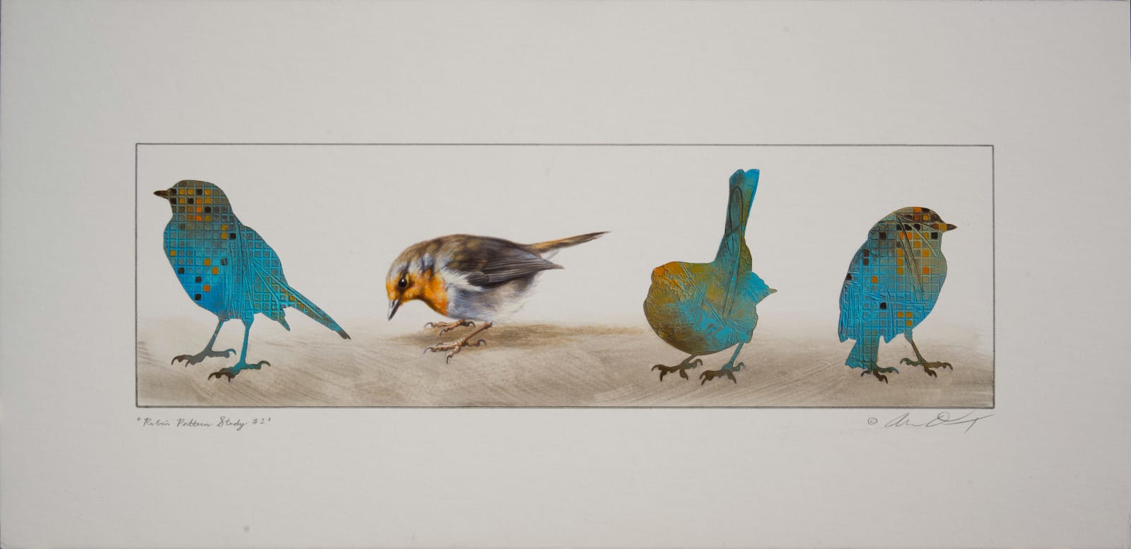 Andrew Denman, Robin Pattern Study #2