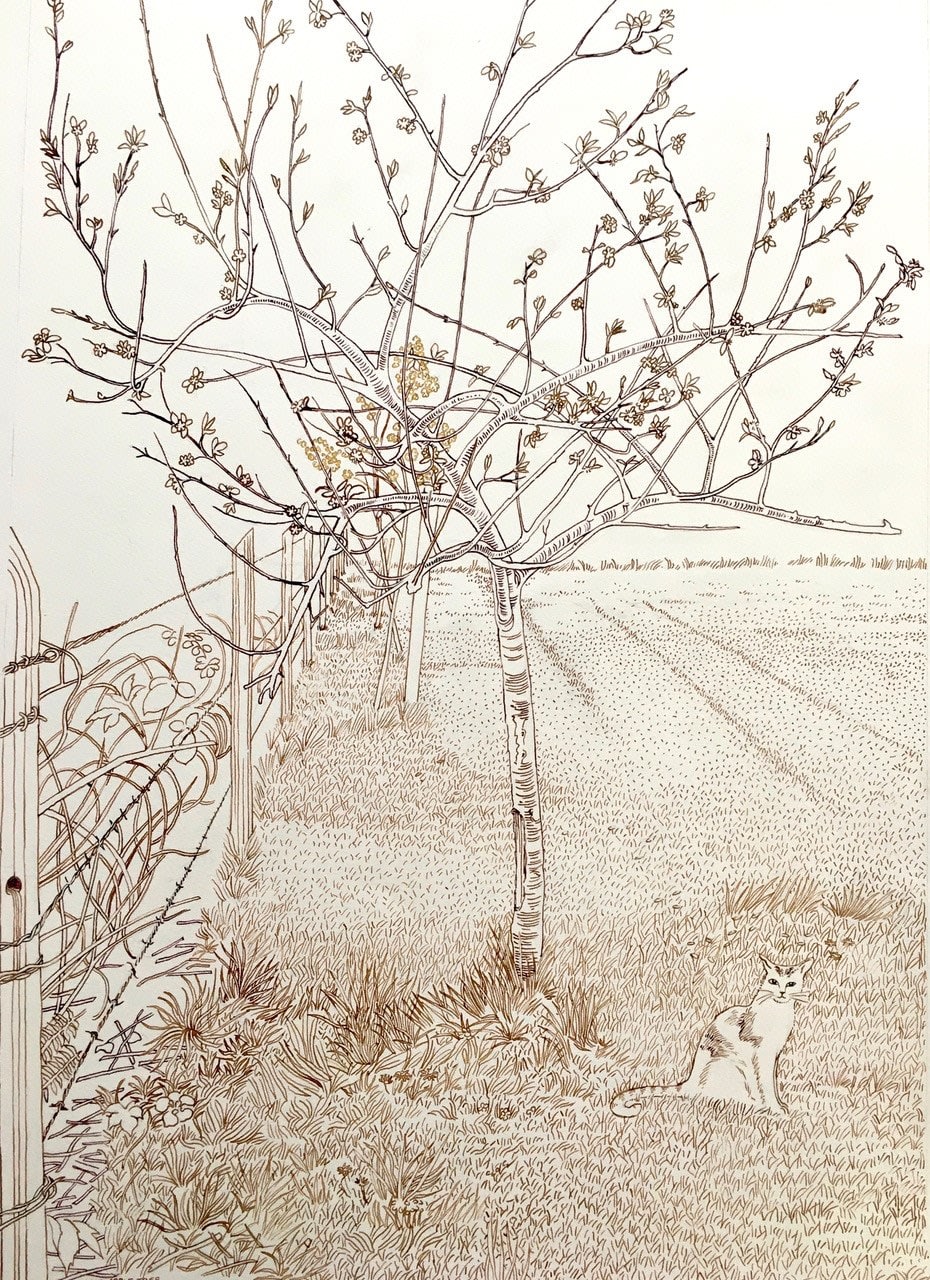 Jason Pizzey, Cat and Apple Tree, 2023