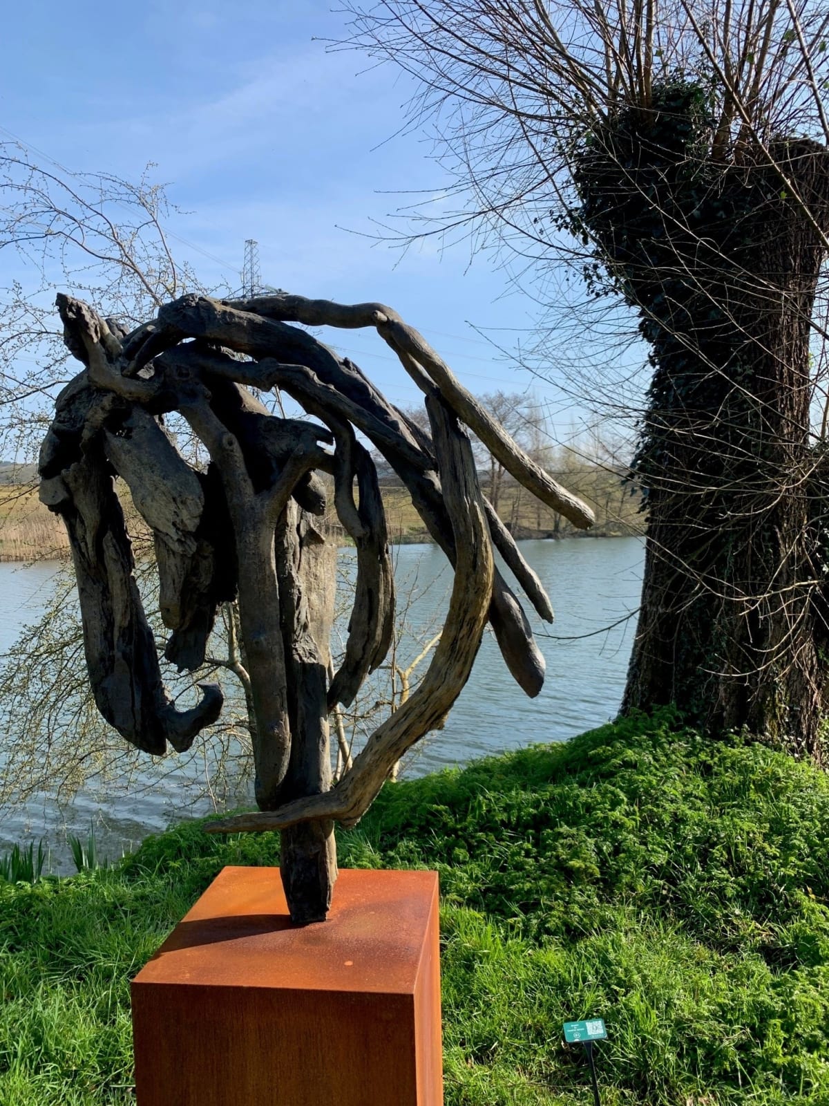 Heather Jansch, Shaker