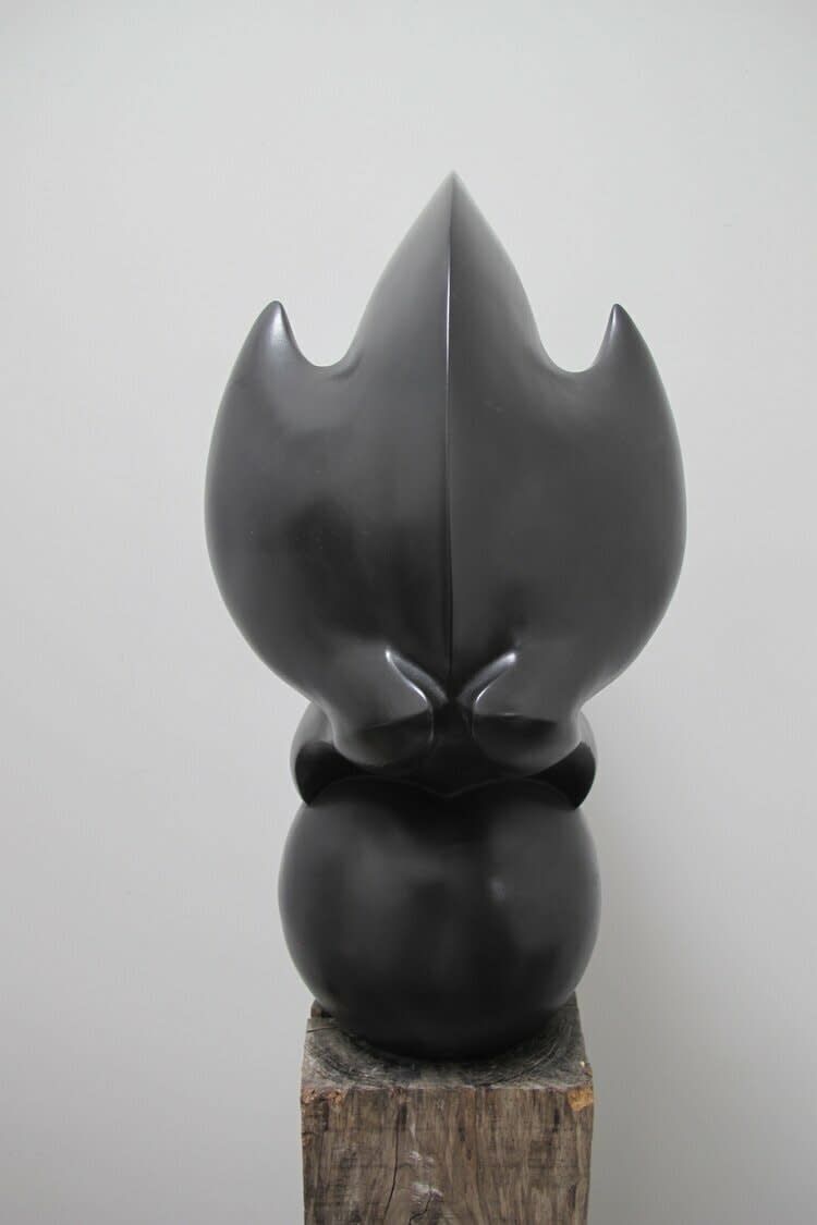 Paul Harvey, Cat on Ball
