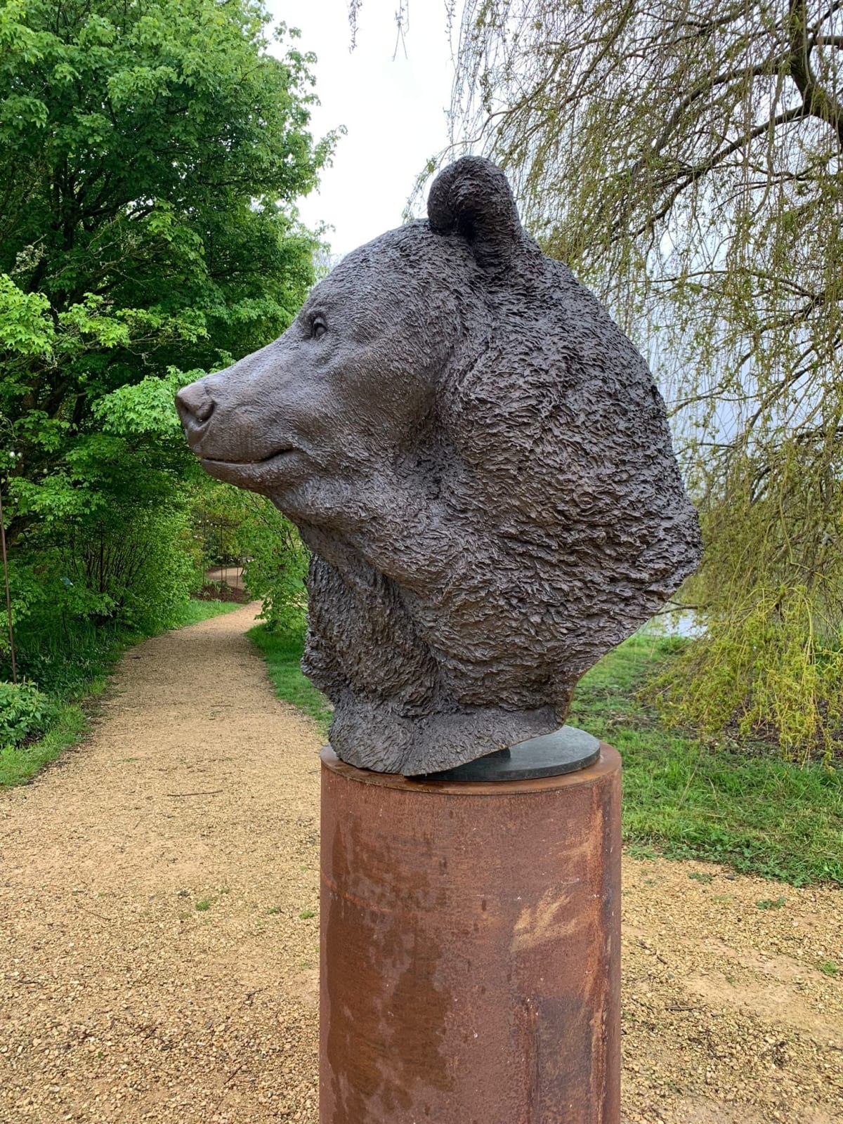 Nick Bibby, Kodiak Brown Bear (Indomitable – Head Study)