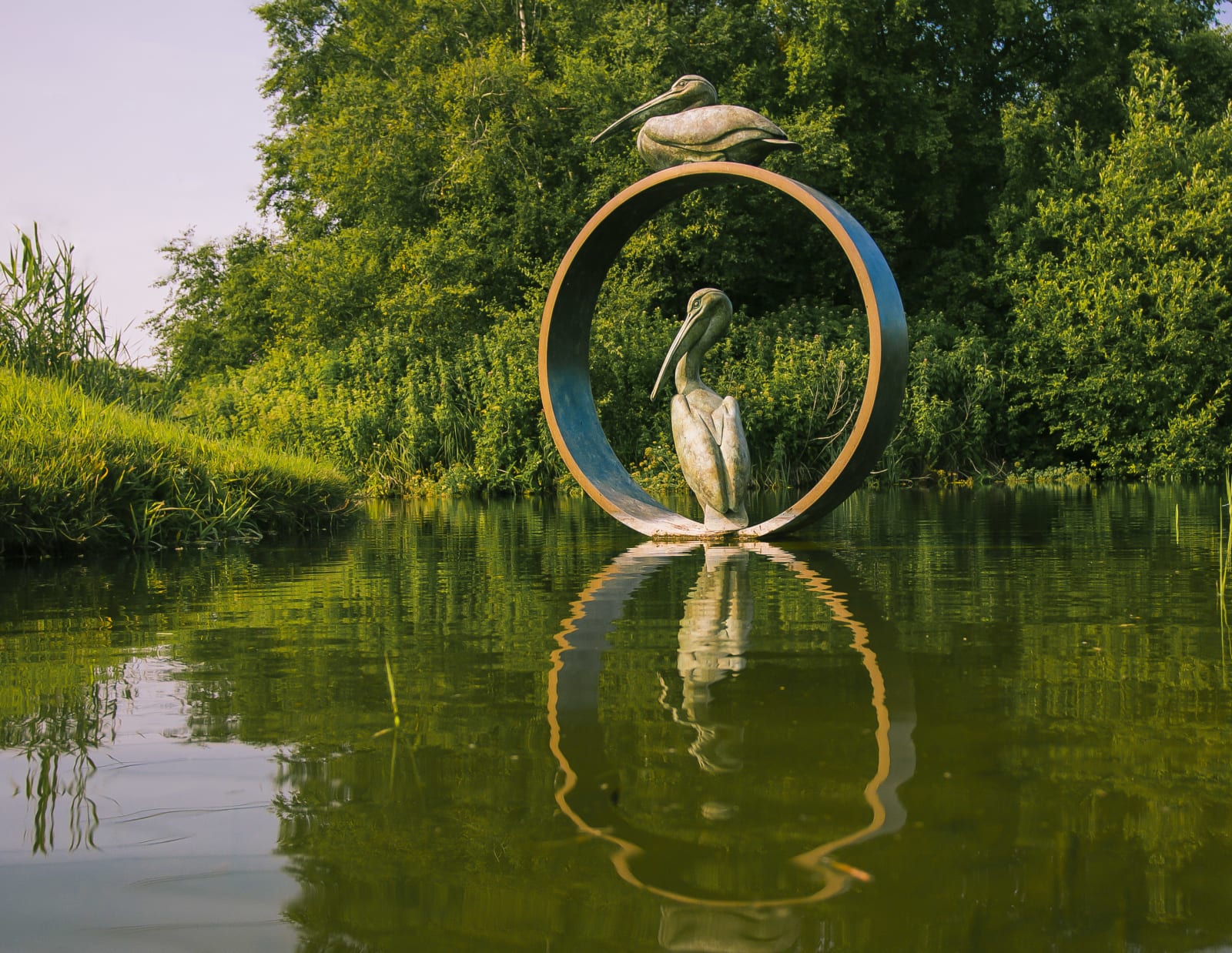 Simon Gudgeon, Pelicans