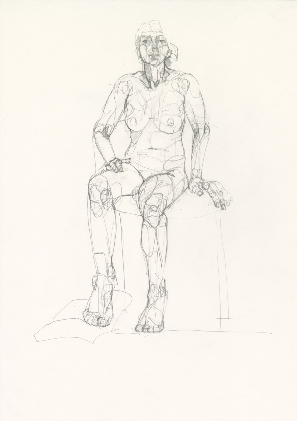 Carol Peace, We are here to discover, 2025