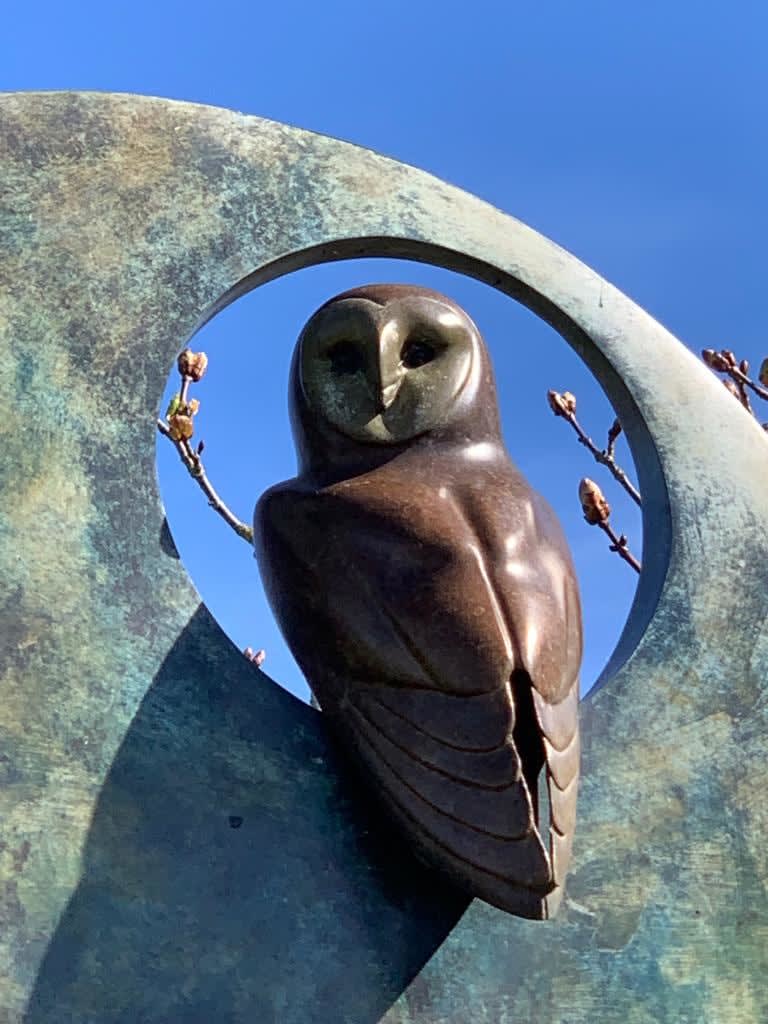 Simon Gudgeon, Barn Owl in Sphere