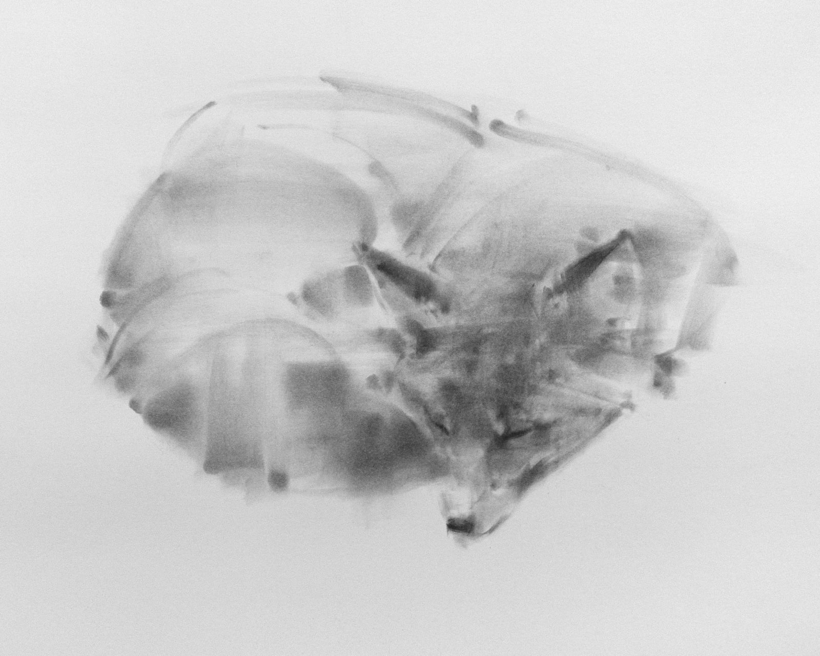 Tianyin Wang, Day Dreamer, 2022