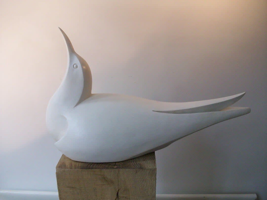 Paul Harvey, Tern, 2024