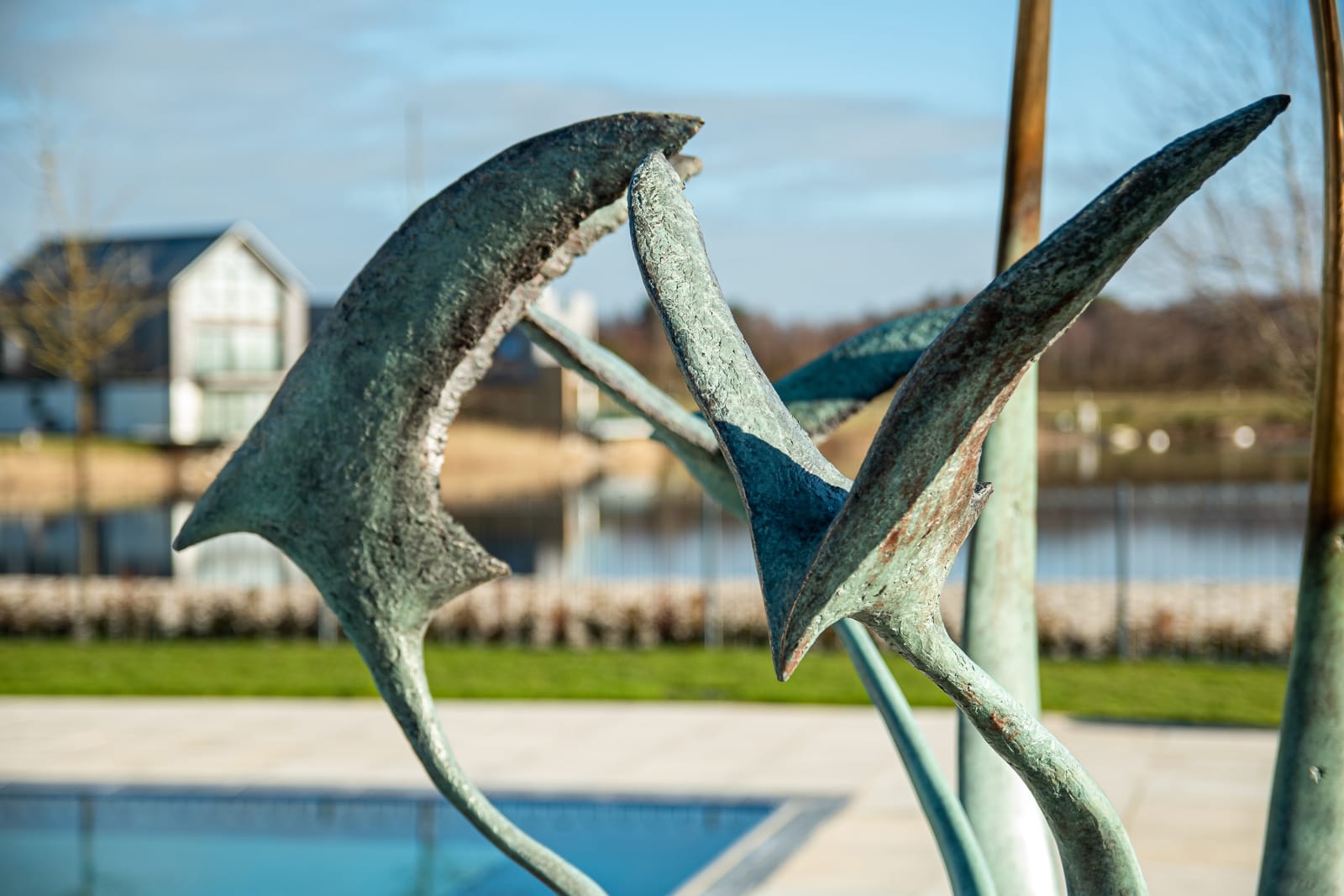 Nadine Collinson, To the Stars!