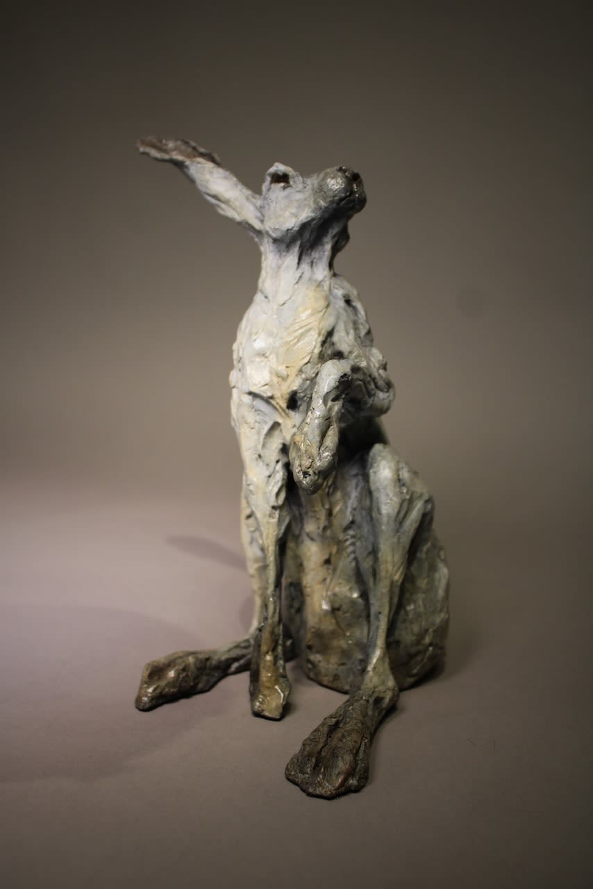 Jane Shaw, Moonlight Gaze, Sitting Mountain Hare