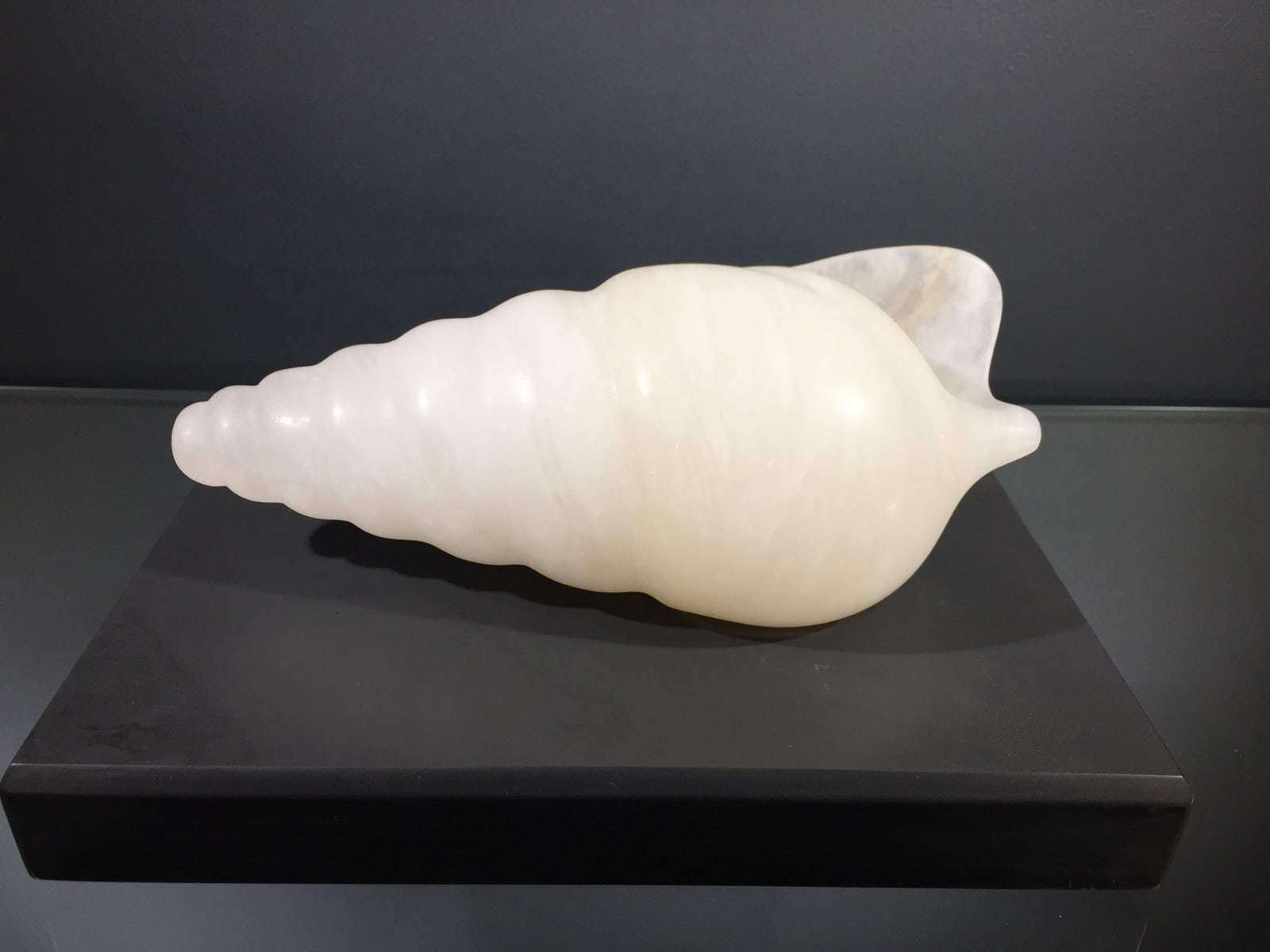 Ray Moseley, Shell , 2021