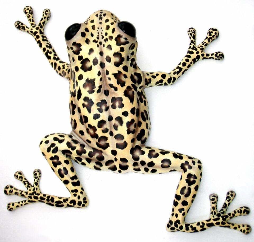 Clare Ferguson-Walker, Leopard Frog