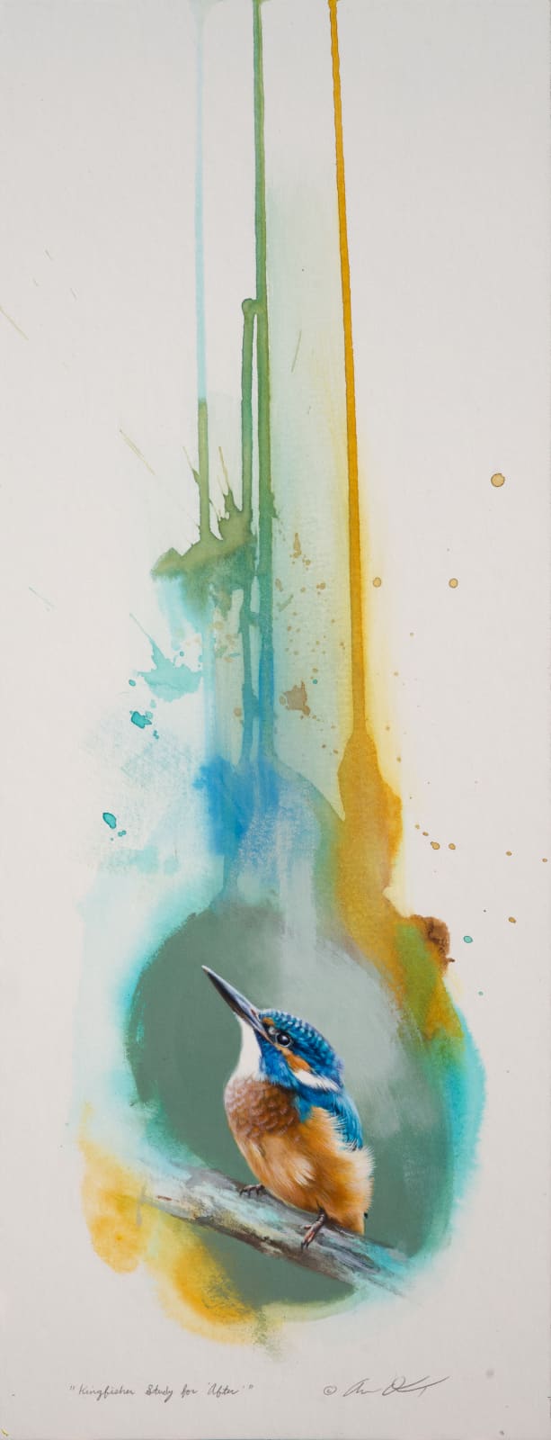 Andrew Denman, Kingfisher Study for 'After'