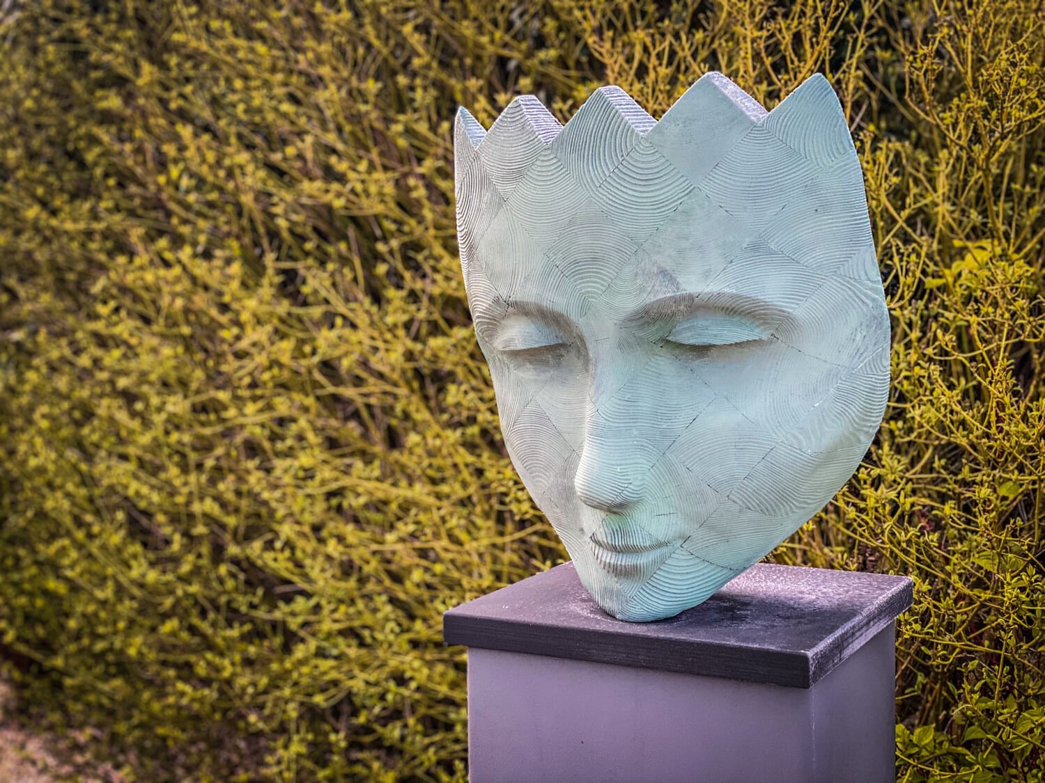 Jilly Sutton, Harle-Queen