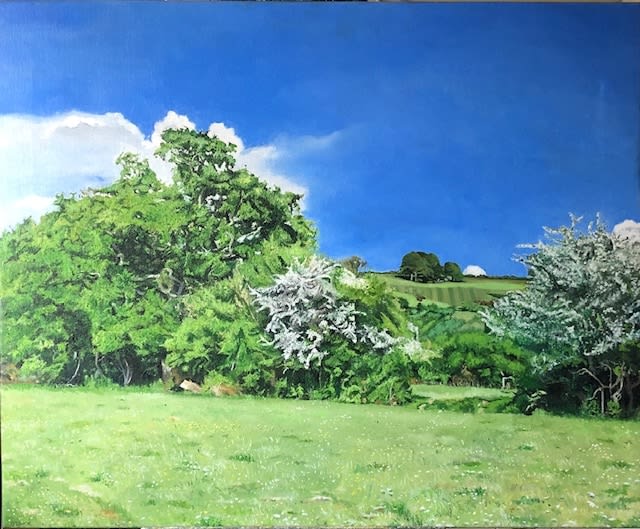 Edward Stone, Hawthorn Blossom at Kingcombe
