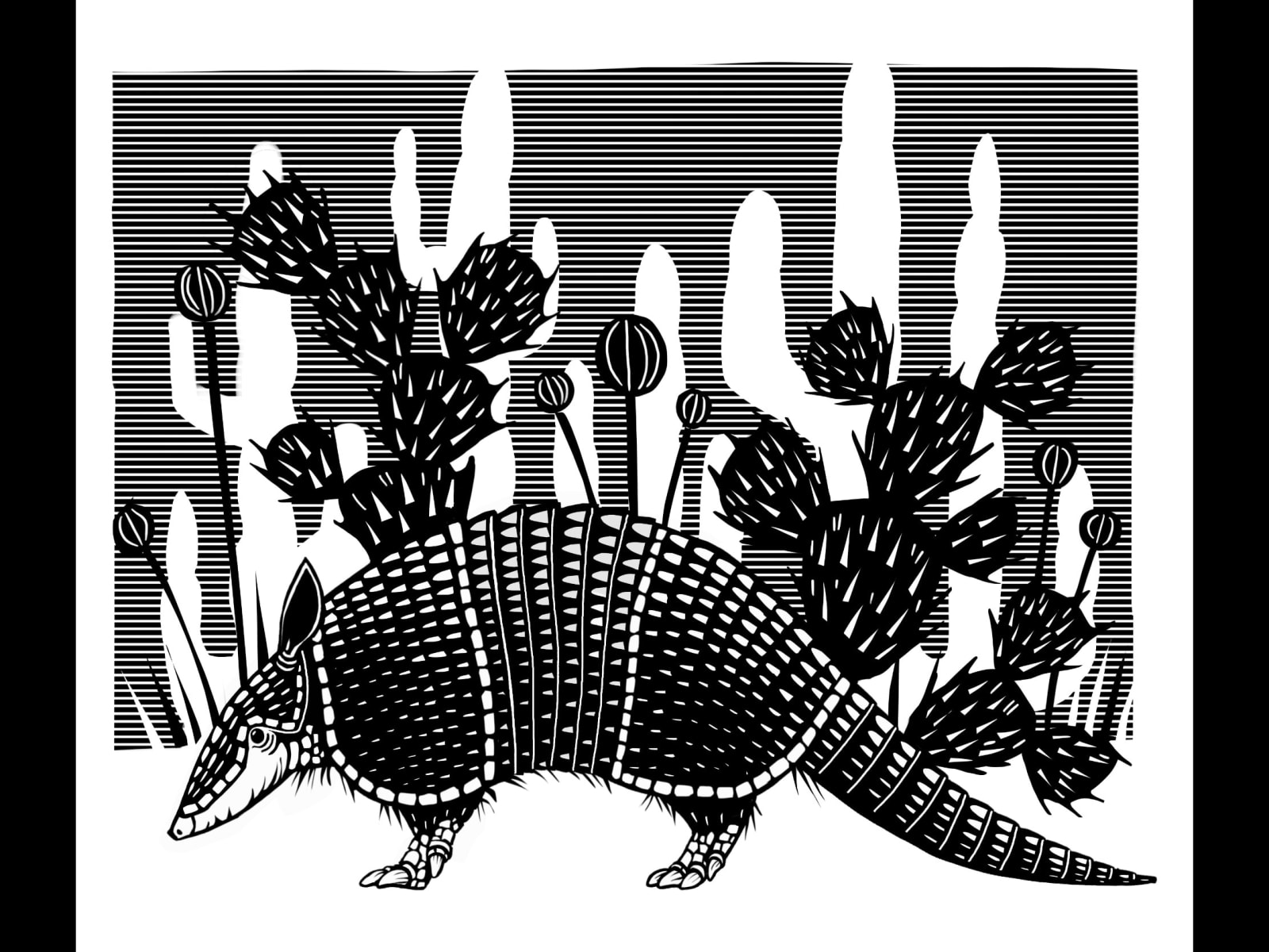 Noah Warnes, Armadillo, 2021