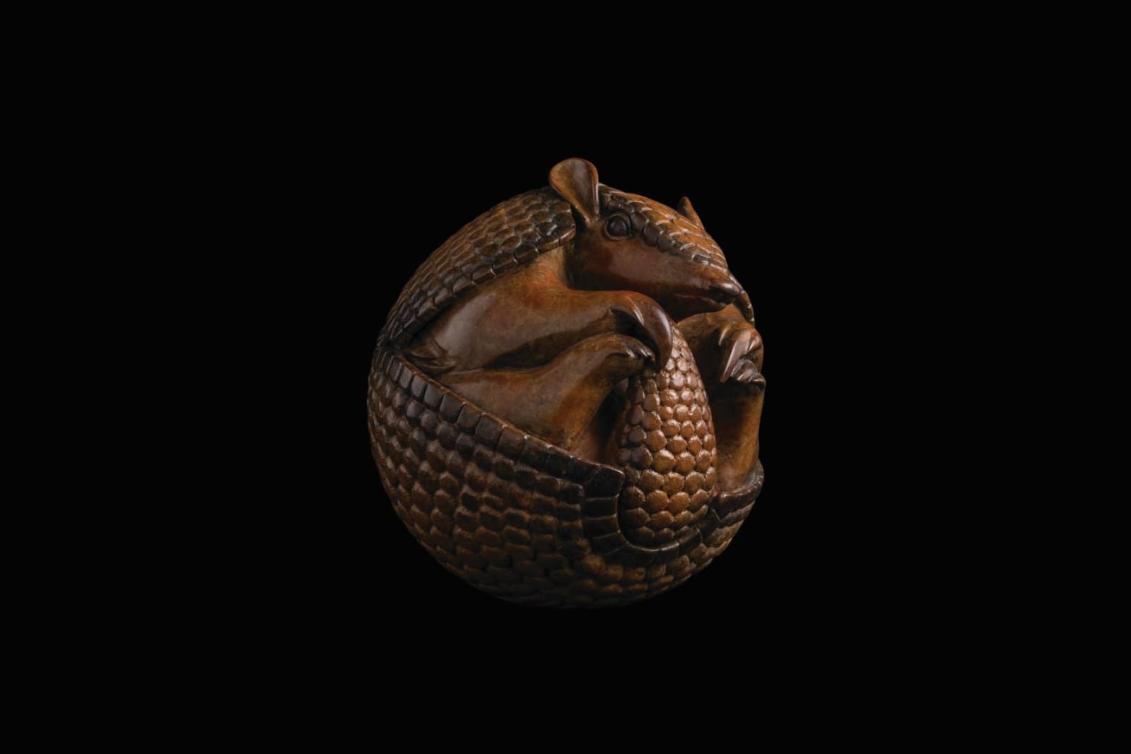 Adam Binder, Armadillo, 2017