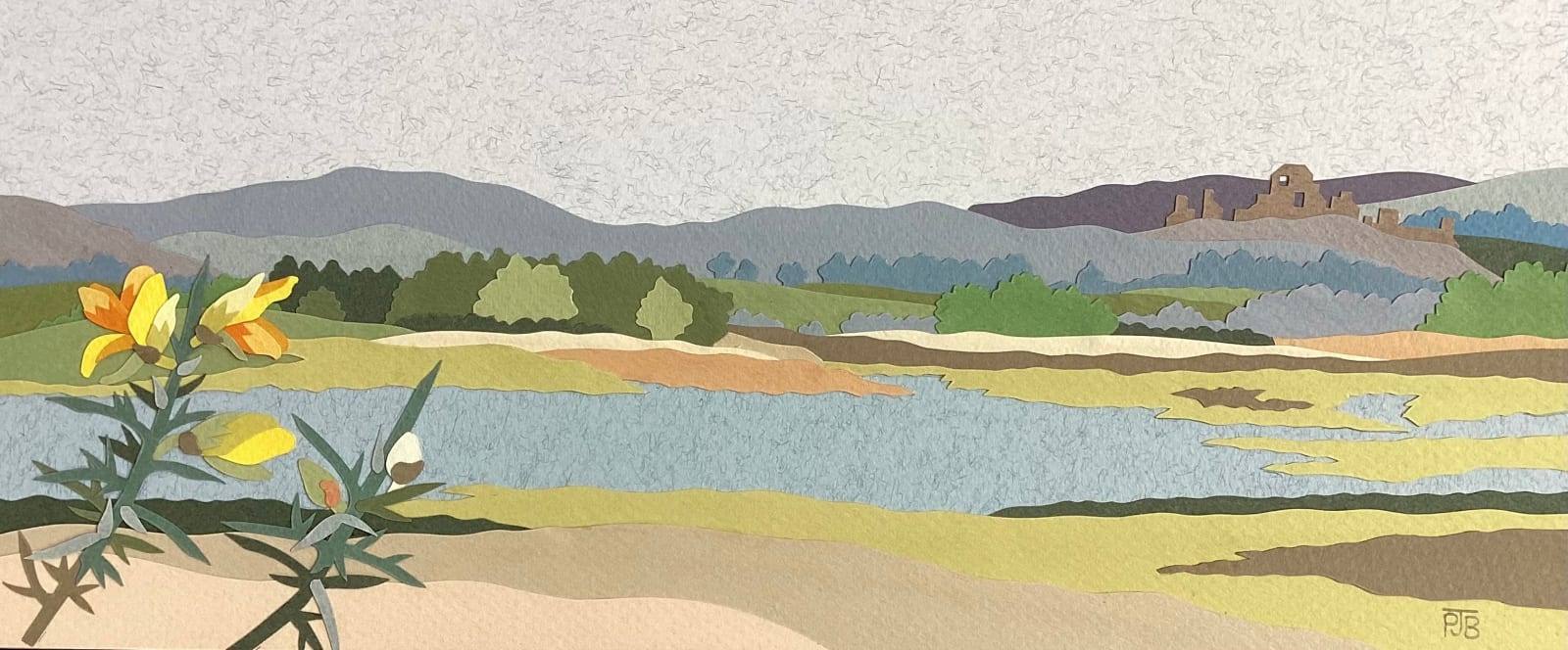 Penny Brown, Corfe Castle from Arne, 2025