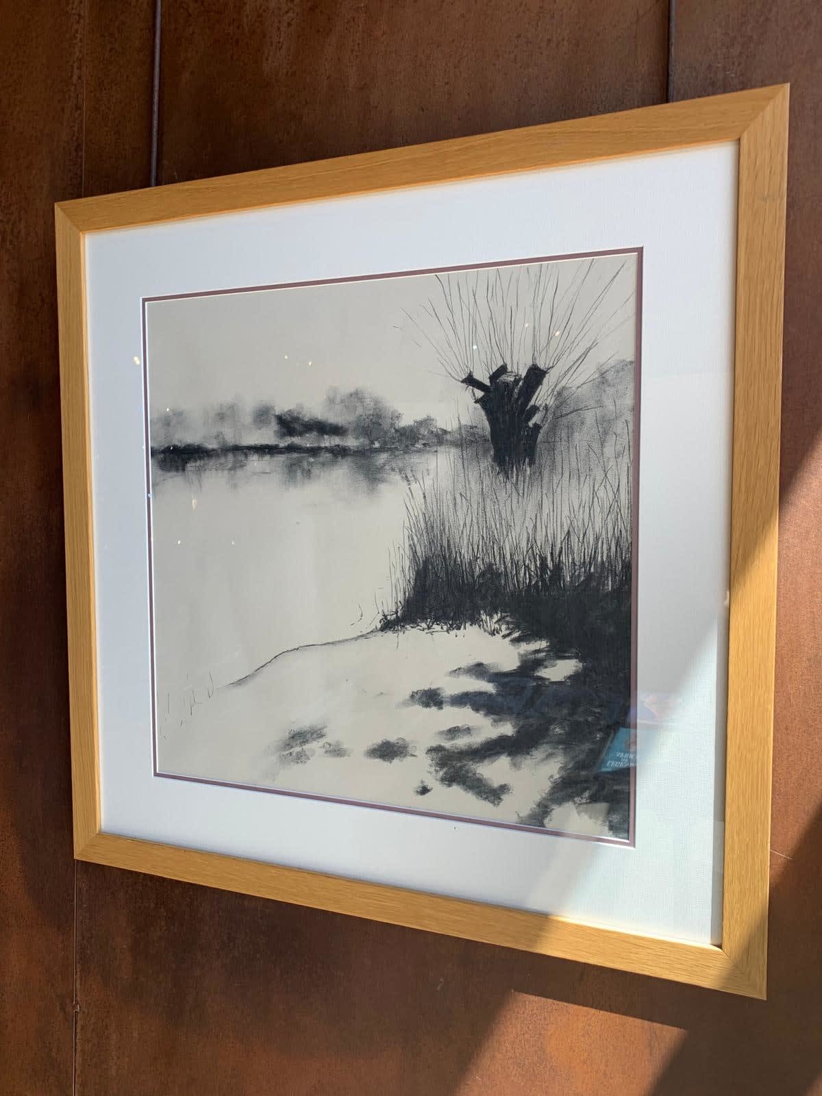 Stephen Bithell, Pollarded Willow, North Lake, 2025