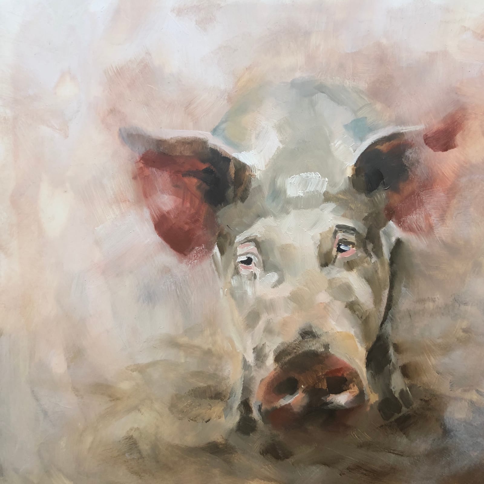 Julie Brunn, Oink