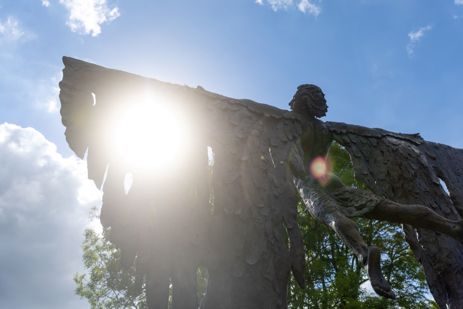 Nicola Godden, Icarus Rising , 2024