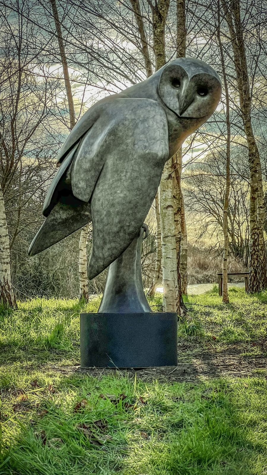 Carl Longworth, Barn Owl III