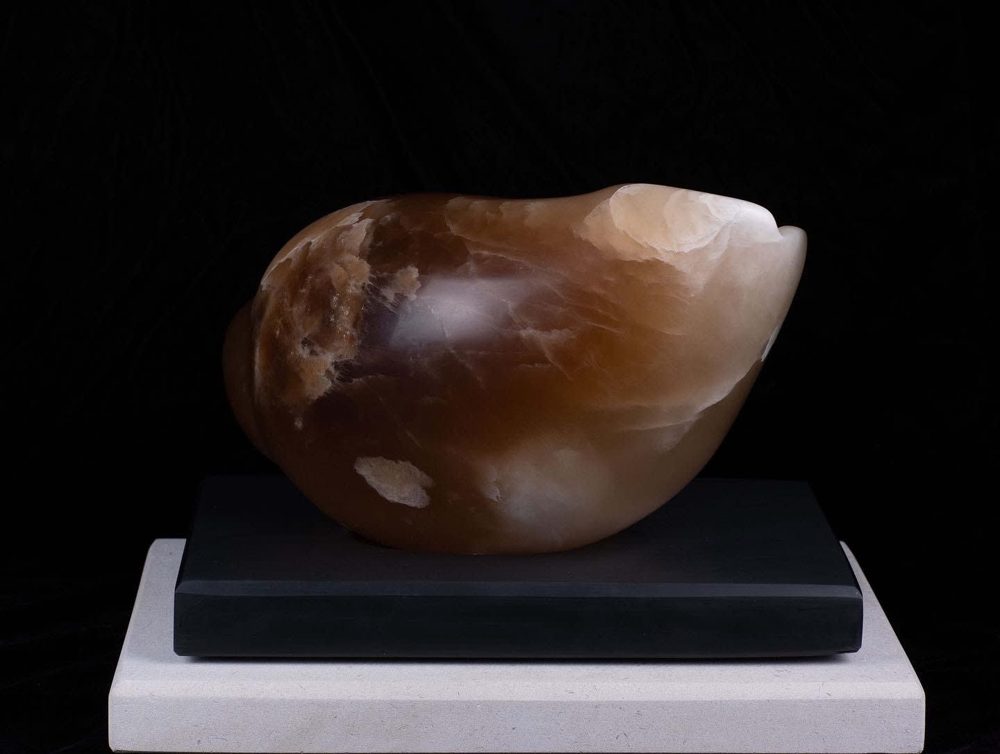 Ray Moseley, The Papillon Shell , 2023