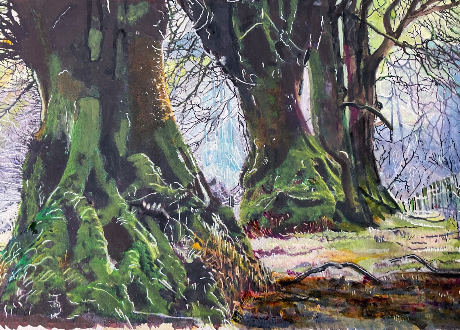 Philippa Beale, Ancient Beech, Cloutsham, Exmoor, 2020