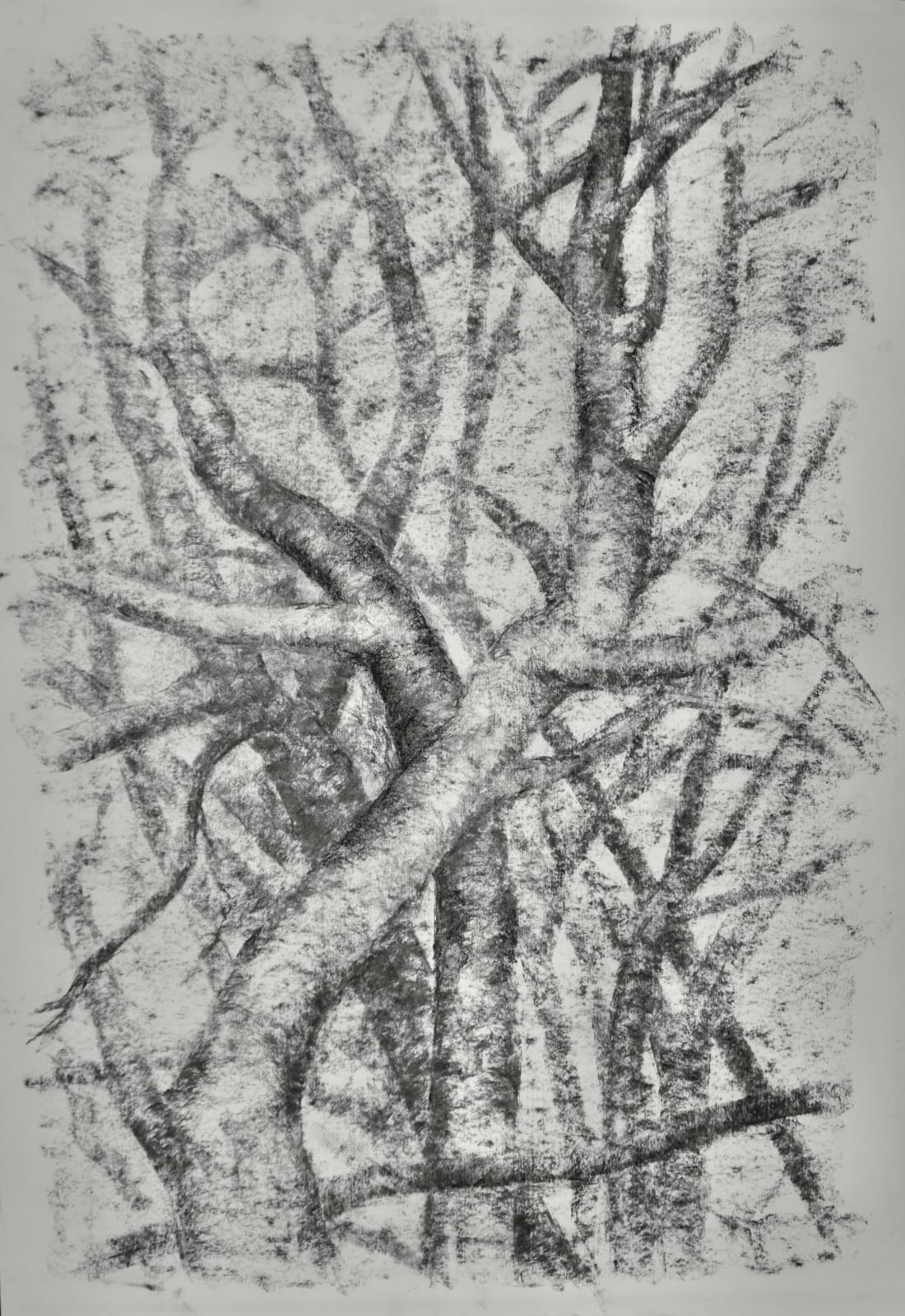 Annabel Cullen, Untitled