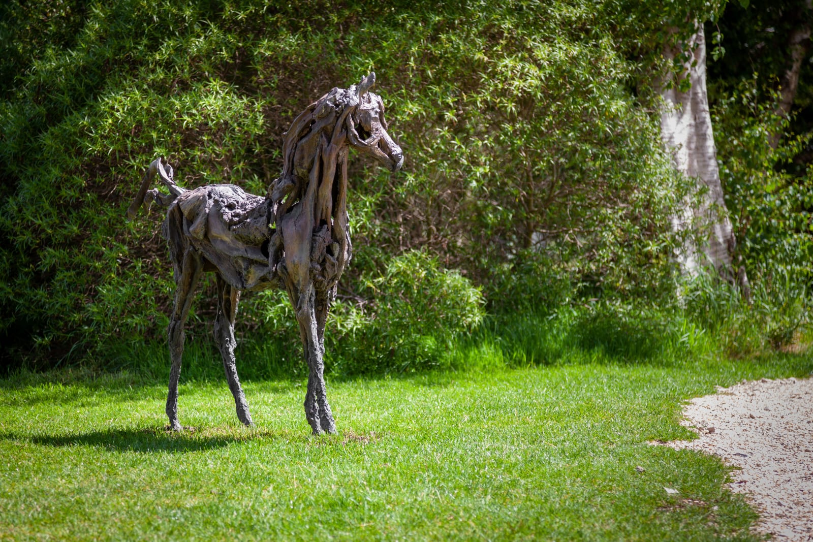 Heather Jansch, Sugar Plum