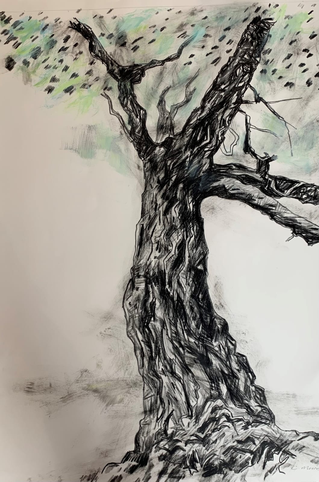 Colin Moore, Ancient Oak V, 2023