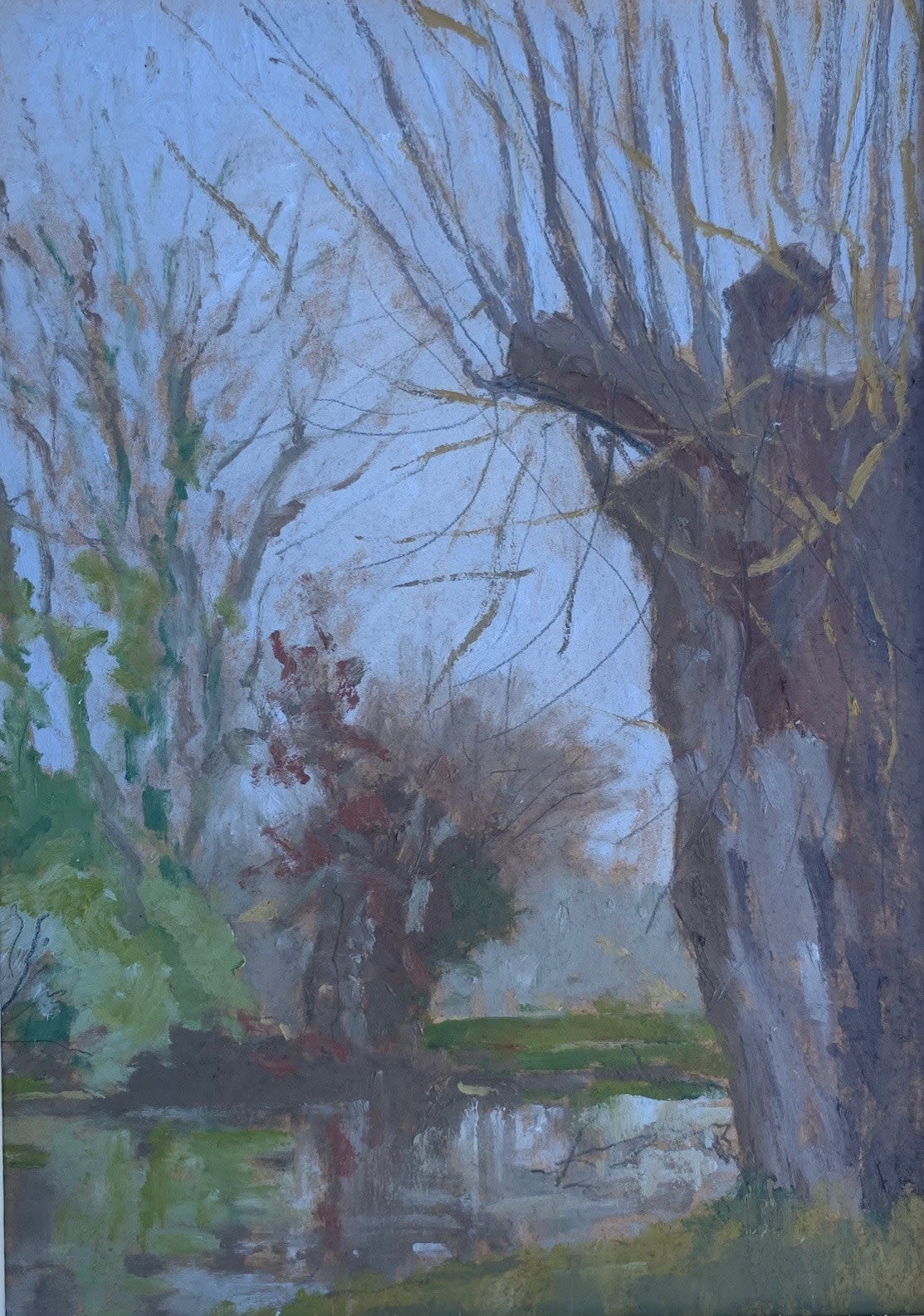 Stephen Bithell, Pollarded Willow Top of North Lake, 2023