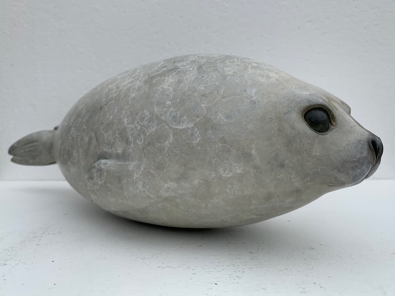 Adam Binder, Harp Seal Pup, 2020