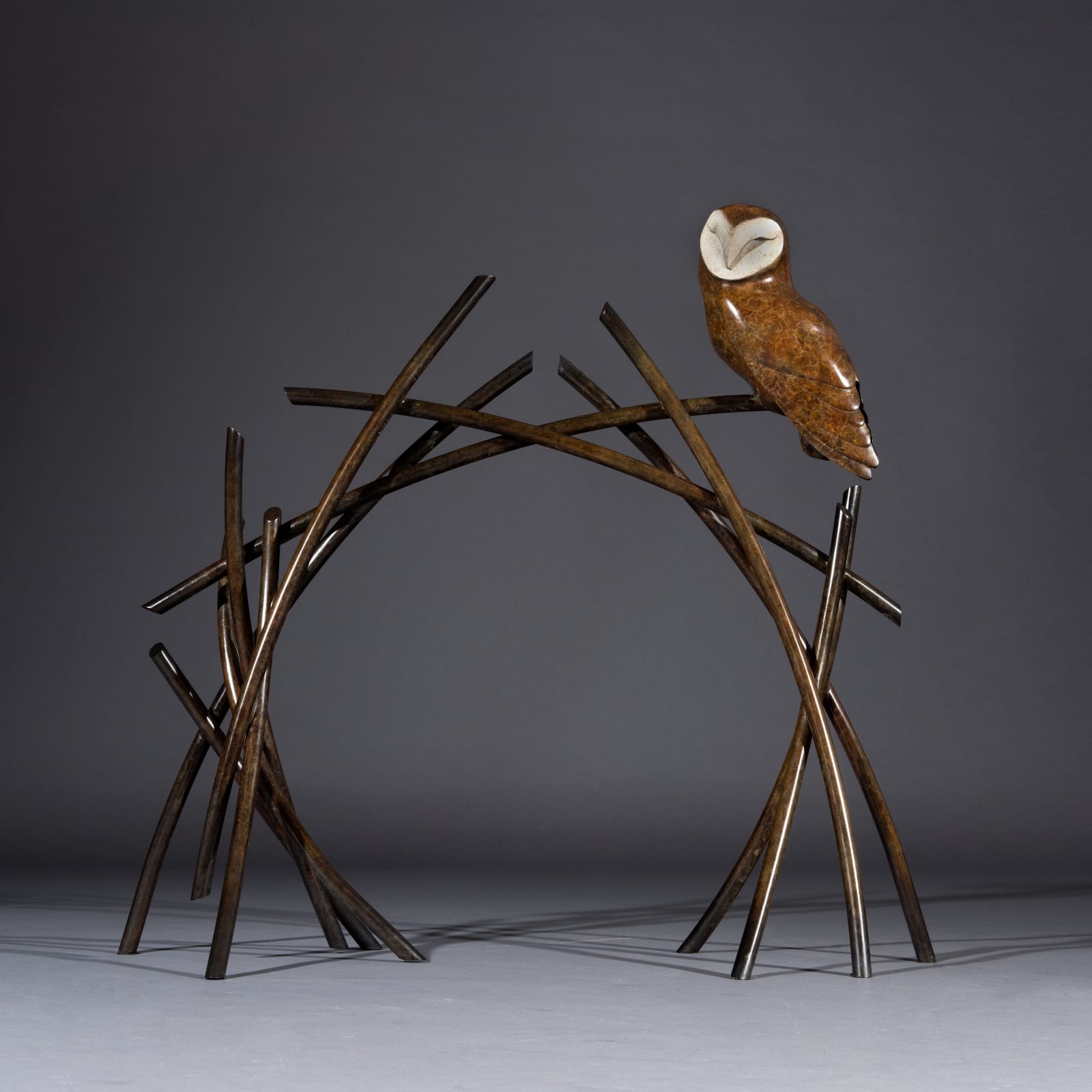 Simon Gudgeon, Barn Owl on Branches