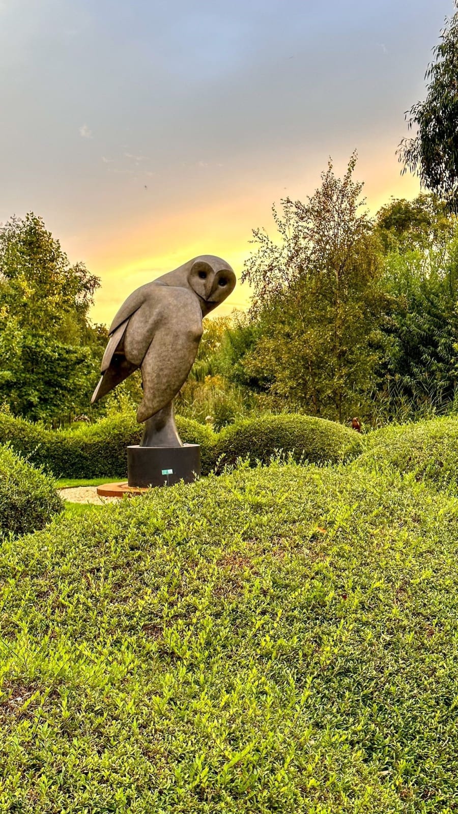 Carl Longworth, Barn Owl III