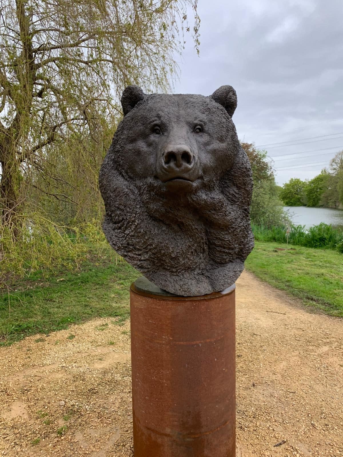 Nick Bibby, Kodiak Brown Bear (Indomitable – Head Study)