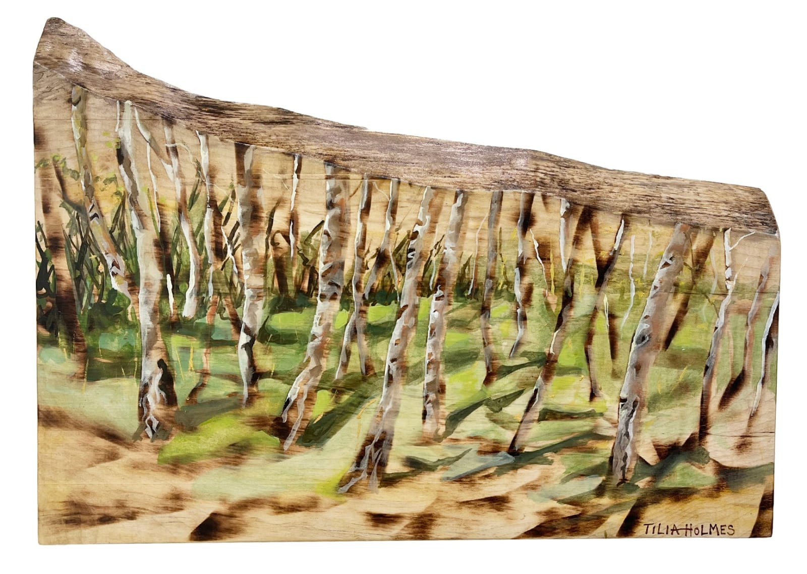 Tilia Holmes, Plein Air Birch Trees