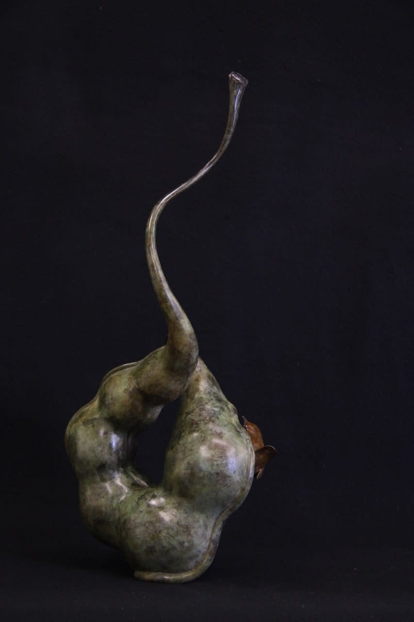 Adam Binder, Wren in a Pod