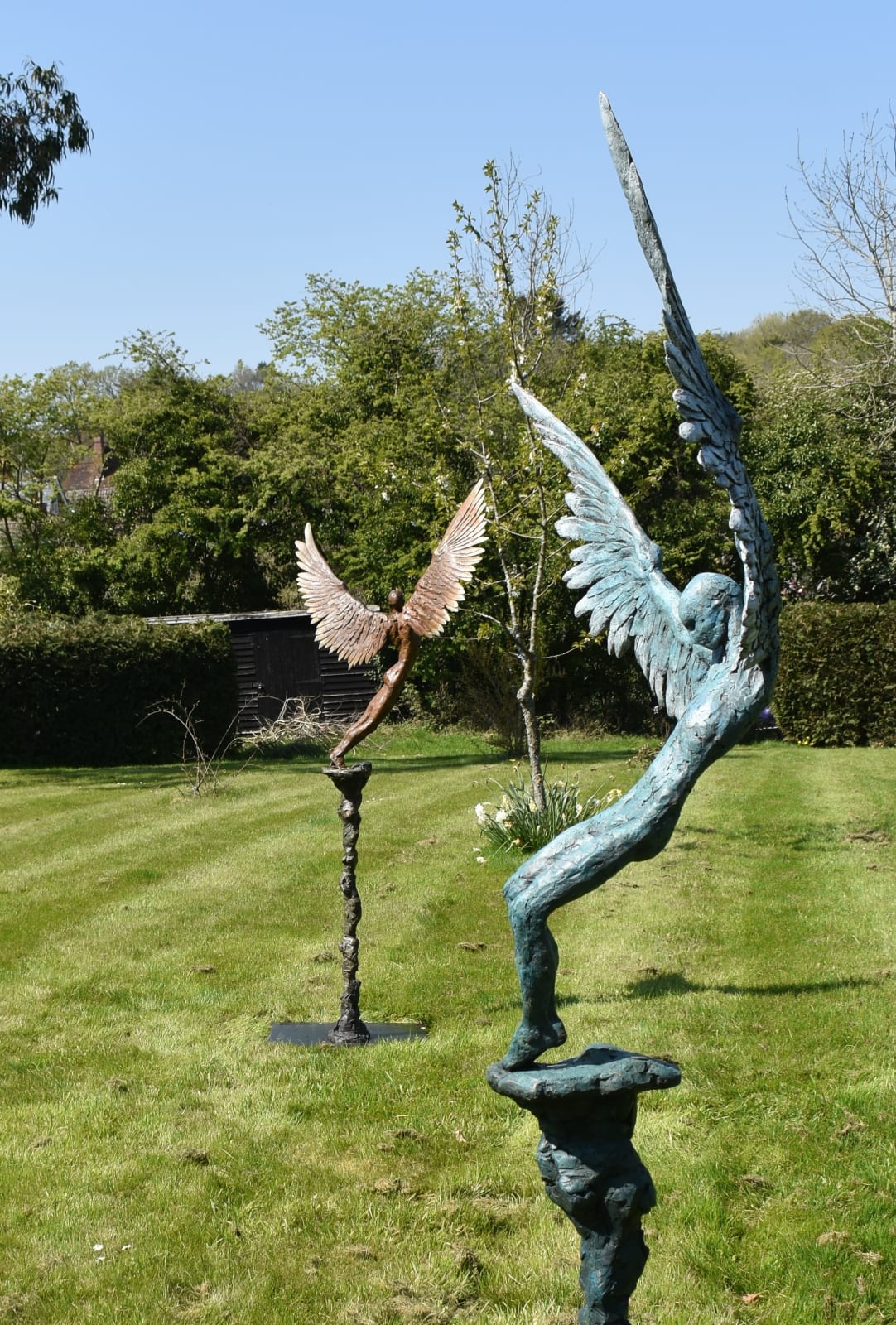 Nicola Godden, Icarus X