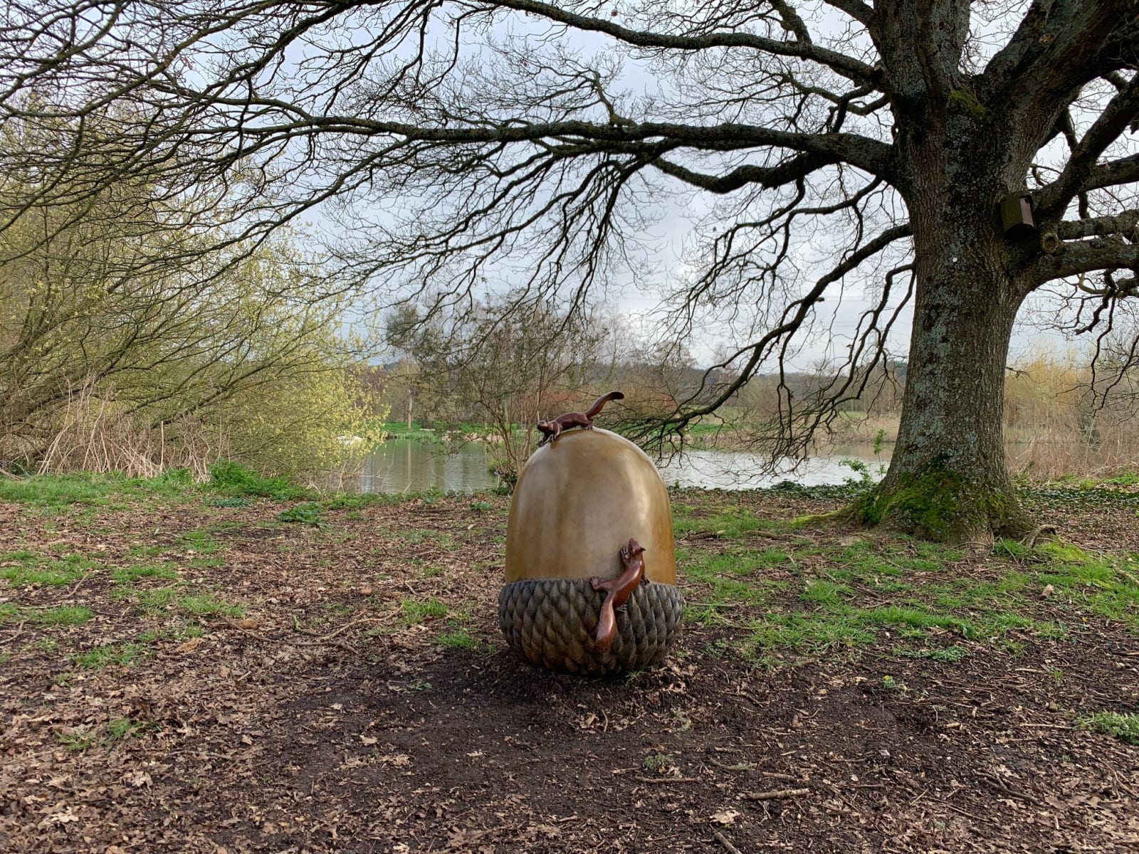 Adam Binder, Cache Prize (Acorn), 2023